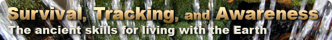 How to Find Water - Finding Water - Wilderness Survival
