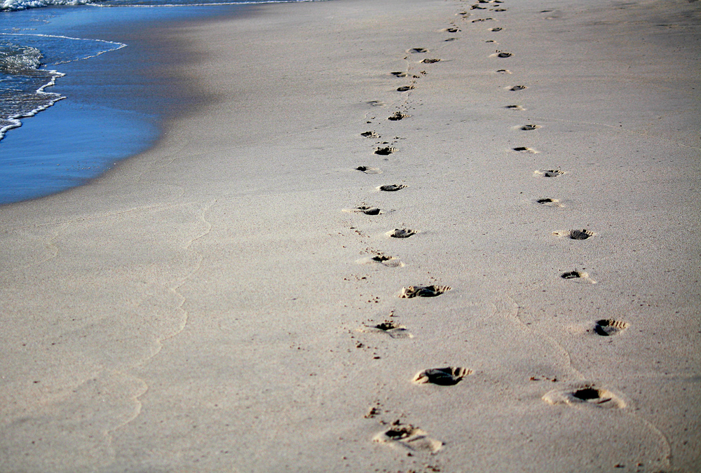Animal Tracking Quiz, Question 1 - Can you identify this animal track?